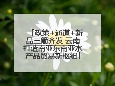 政策+通道+新品三箭齐发 云南打造南亚东南亚水产品贸易新枢纽