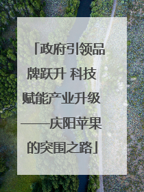 政府引领品牌跃升 科技赋能产业升级——庆阳苹果的突围之路