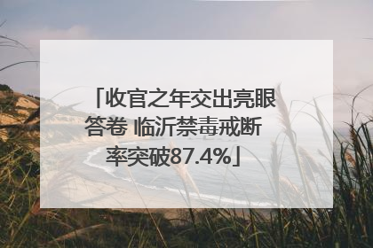 收官之年交出亮眼答卷 临沂禁毒戒断率突破87.4%