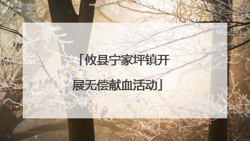 攸县宁家坪镇开展无偿献血活动