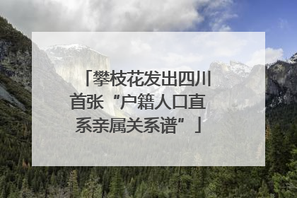 攀枝花发出四川首张“户籍人口直系亲属关系谱”