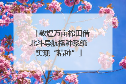 敦煌万亩棉田借北斗导航播种系统实现“精种”