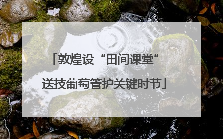 敦煌设“田间课堂” 送技葡萄管护关键时节