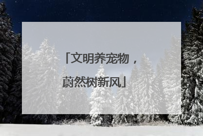 文明养宠物，蔚然树新风
