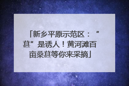 新乡平原示范区：“葚”是诱人！黄河滩百亩桑葚等你来采摘