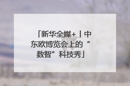 新华全媒+丨中东欧博览会上的“数智”科技秀