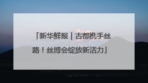 新华鲜报｜古都携手丝路！丝博会绽放新活力
