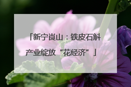 新宁崀山：铁皮石斛产业绽放“花经济”