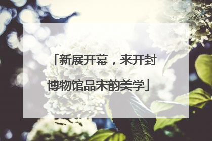 新展开幕，来开封博物馆品宋韵美学