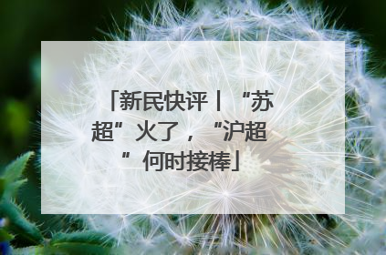 新民快评丨“苏超”火了，“沪超”何时接棒