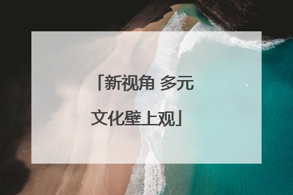 新视角 多元文化壁上观