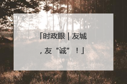 时政眼｜友城，友“诚”！