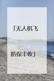 无人机飞防保丰收