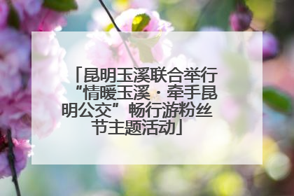 昆明玉溪联合举行“情暖玉溪・牵手昆明公交”畅行游粉丝节主题活动