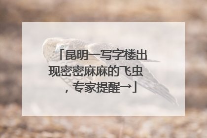 昆明一写字楼出现密密麻麻的飞虫，专家提醒→