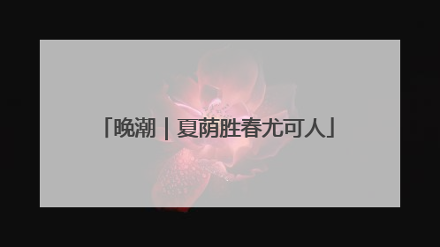 晚潮｜夏荫胜春尤可人