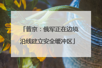 普京：俄军正在边境沿线建立安全缓冲区