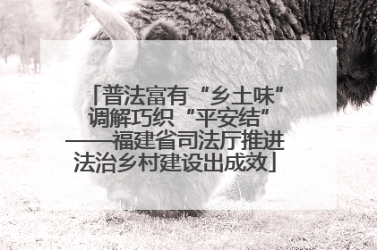 普法富有“乡土味” 调解巧织“平安结”——福建省司法厅推进法治乡村建设出成效