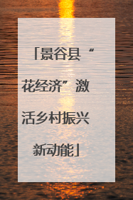 景谷县“花经济”激活乡村振兴新动能