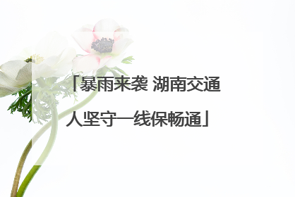 暴雨来袭 湖南交通人坚守一线保畅通