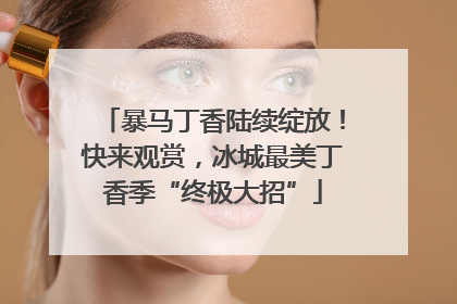 暴马丁香陆续绽放！快来观赏，冰城最美丁香季“终极大招”