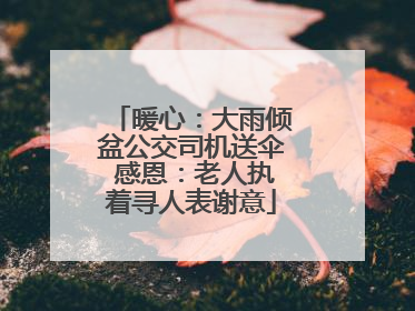 暖心：大雨倾盆公交司机送伞 感恩：老人执着寻人表谢意