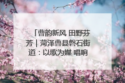 曹韵新风 田野芬芳｜菏泽曹县磐石街道：以歌为媒 唱响乡土“新歌声”