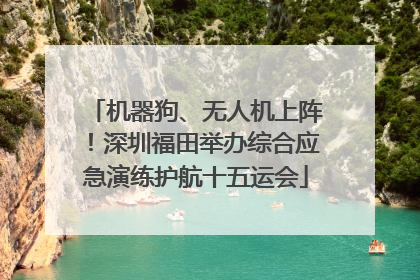 机器狗、无人机上阵！深圳福田举办综合应急演练护航十五运会