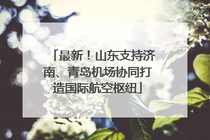 最新！山东支持济南、青岛机场协同打造国际航空枢纽