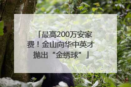 最高200万安家费！金山向华中英才抛出“金绣球”