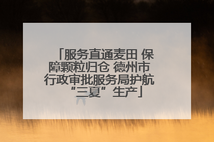 服务直通麦田 保障颗粒归仓 德州市行政审批服务局护航“三夏”生产