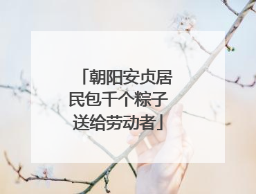 朝阳安贞居民包千个粽子送给劳动者