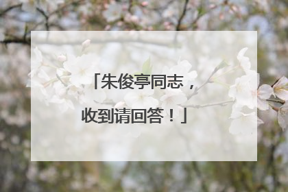 朱俊亭同志，收到请回答！