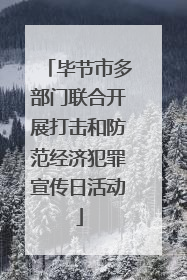 毕节市多部门联合开展打击和防范经济犯罪宣传日活动