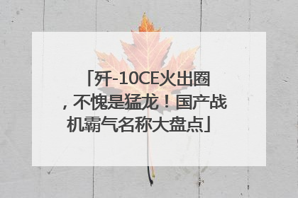 歼-10CE火出圈，不愧是猛龙！国产战机霸气名称大盘点