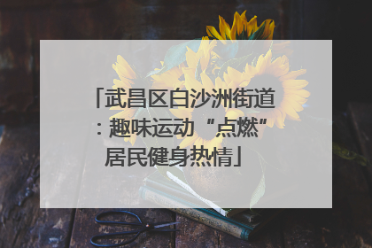 武昌区白沙洲街道：趣味运动“点燃”居民健身热情