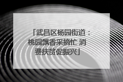 武昌区杨园街道：桃园飘香采摘忙 消费扶贫促振兴