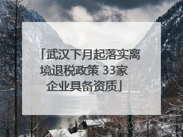武汉下月起落实离境退税政策 33家企业具备资质