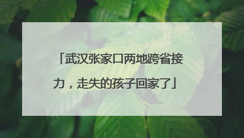 武汉张家口两地跨省接力，走失的孩子回家了