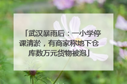 武汉暴雨后：一小学停课清淤，有商家称地下仓库数万元货物被泡