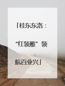 桂东东洛：“红领雁”领航百业兴