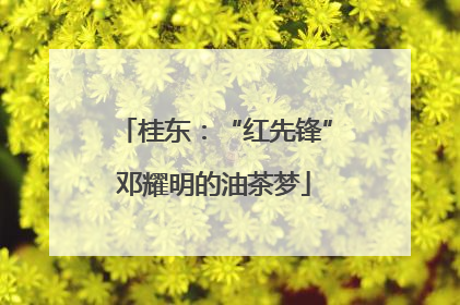 桂东：“红先锋”邓耀明的油茶梦