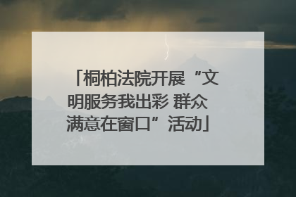 桐柏法院开展“文明服务我出彩 群众满意在窗口”活动