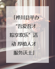 桦川县举办“吾爱吾才 粽享欢乐”活动 厚植人才服务沃土