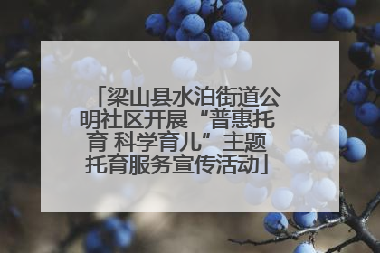 梁山县水泊街道公明社区开展“普惠托育 科学育儿”主题托育服务宣传活动