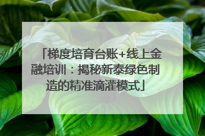 梯度培育台账+线上金融培训：揭秘新泰绿色制造的精准滴灌模式