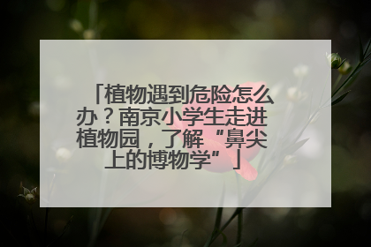 植物遇到危险怎么办？南京小学生走进植物园，了解“鼻尖上的博物学”