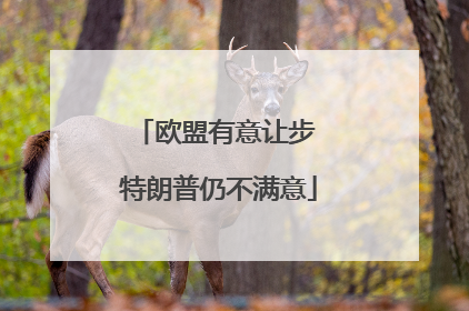 欧盟有意让步 特朗普仍不满意