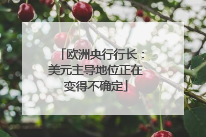 欧洲央行行长：美元主导地位正在变得不确定
