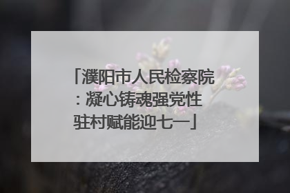 濮阳市人民检察院：凝心铸魂强党性 驻村赋能迎七一